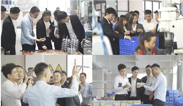 R&D TEAM