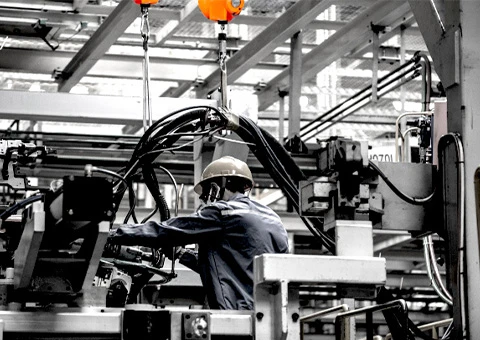 1000 lb gantry crane